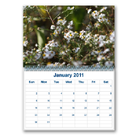 Calendars -Wall